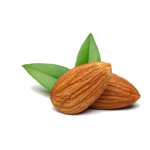 Almond